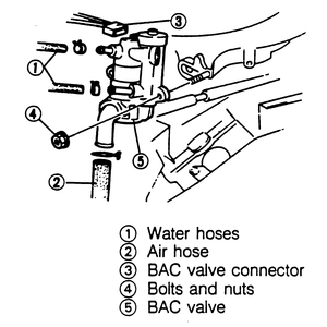 IAC